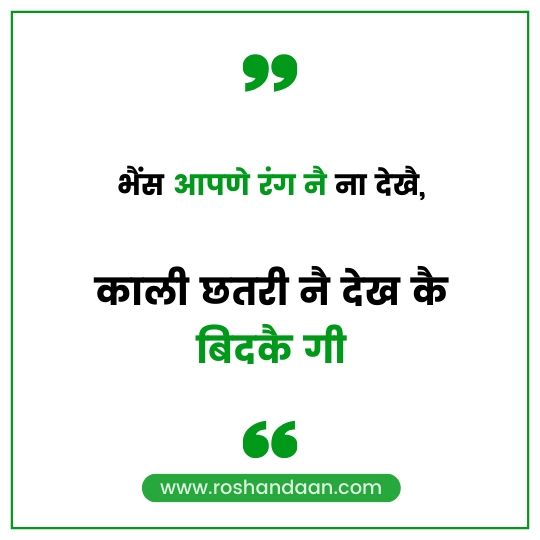 Haryanavi Quotes