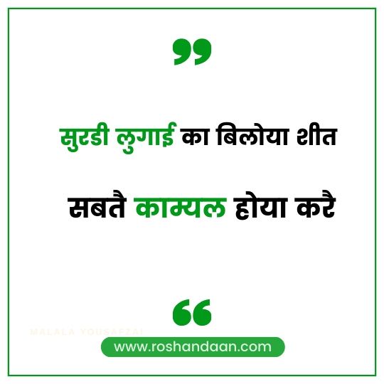 Haryanvi Quotes on Attitude