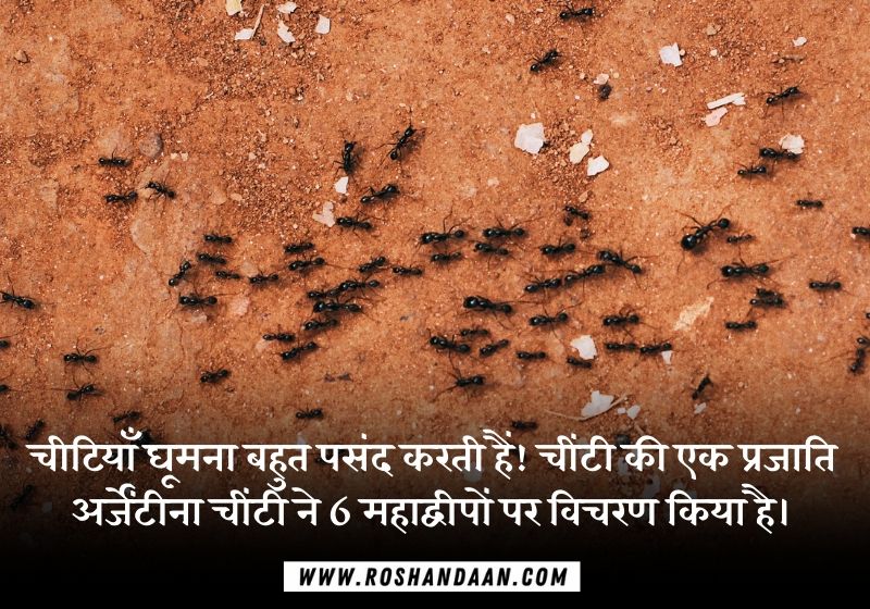 Ants Rochak Tathya